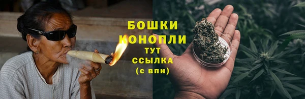 PSILOCYBIN Верхний Тагил